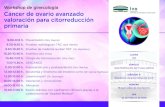 CANCER DE OVARIO - IVO · Workshop de ginecología Cáncer de ovario avanzado valoración para citorreducción primaria 9.00-9.15 h. 9.30-9.50 h. 9.50-10.20 h. 10.20-10.40 h.