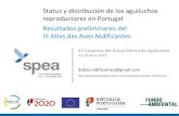 Status y distribución de los aguiluchos reproductores en Portugal … · 2019-12-13 · • Aguilucho pálido Circus cyaneus: CR • Aguilucho cenizo Circus pygargus: EN • No hay