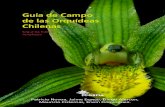 Guía de Campo de las Orquídeas Chilenas...Patricio Novoa, Jaime Espejo, Diego Alarcon,