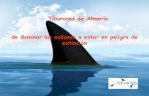 Tiburones de Almería de dominar los océanos a estar en ... · Huevos Tiburones: Ovíparos: Especies animales cuyo sistema reproductivo se basa en la puesta de huevos y de incubación