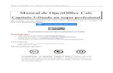 Manual de OpenOffice Calcdanieldona.com/calc/ManualOOCalc_Cap3.pdf · Manual de OpenOffice Calc. Capítulo 3. Dando un toque profesional 4 Después de seleccionar la opción De archivo