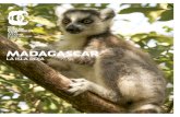 MADAGASCAR - theafricanexperiences.comtheafricanexperiences.com/data/downloads/madagascar_dic119747… · Madagascar es ante todo una “Aventura”, un viaje lejos de senderos trazados.