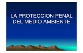 LA PROTECCION PENAL DEL MEDIO AMBIENTE · 2008-01-28 · LA PROTECCION PENAL DEL MEDIO AMBIENTE • El artículo 45 de la Constitución Española establece: • 1-Todos tienen derecho