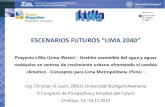 ESENARIOS FUTUROS “LIMA 2040” · 2012. 11. 19. · Enfoque de escenarios en el Proyecto LiWa • Descripción de posibles futuros de la situación del agua en Lima al 2040 •