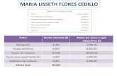 MARIA LISSETH FLORES CEDILLOintranet.tecsuperiorslp.edu.mx/app.tecsuperiorslp/app...MARIA LISSETH FLORES CEDILLO Rubro Monto solicitado ($) Monto por ejercer según cotizaciones ($)