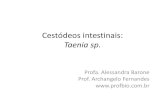 Cestódeos intestinais: Taenia sp.profbio.com.br/aulas/ac2_12.pdf · Taenia sp. •Reino: Animalia •Filo: Platyhelminthes •Classe: Cestoda •Família:Taeniidae •Gênero:Taenia