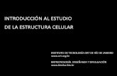 INTRODUCCIÓN AL ESTUDIO DE LA ESTRUCTURA CELULAR · DE LA ESTRUCTURA CELULAR INSTITUTO DE TECNOLOGÍA ORT DE RÍO DE JANEIRO BIOTECNOLOGÍA. ENSEÑANZA Y DIVULGACIÓN . 1. MEMBRANA