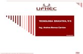 TECNOLOGIA EDUCATIVA, TI´S Ing. Andres Berroa Carrionandresberroacarrion.com/Paginas/universidad ufhec/MANUAL TECN… · • Forman en gran medida conceptos claros y Pe p r r m ec
