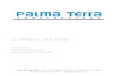 CURRICULUM VITAE - Amazon Web Servicespalmaterra.s3.amazonaws.com/.../Curriculum_PALMA_TERRA.pdf · 2014. 7. 21. · CURRICULUM VITAE Palma Terra S.A. de C.V. Fecha de Fundación: