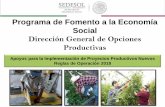 Programa de Fomento a la Economía Social Dirección General ... · Proceso de Formulación de Proyectos. •Actividad económica. •Evaluación técnica, económica y ambiental.