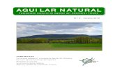 AGUILAR NATURALAguilar Natural Publicación cultural de Aguilar del Alfambra Página 4 una larga cinta verde en el fondo del valle y un conjunto de grupos de chopos que salpican los
