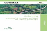 Colombia...res para Colombia en 2019 fue de 1,88 kg de pasta básica/tm de hoja de coca. Este rendimiento se estima implícitamente a partir de la producción total de pasta básica