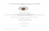 UNIVERSIDAD COMPLUTENSE DE MADRIDontogenética y filogenética del desarrollo de la racionalidad comunicativa (pág. 201): a. Consideraciones sobre el desarrollo ontogenético “normal”