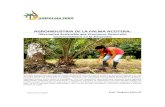 AGROINDUSTRIA DE LA PALMA ACEITERA · 2017. 5. 25. · AGROINDUSTRIA DE LA PALMA ACEITERA: Alternativa Sostenible que Promueve Desarrollo socioeconómico en la Amazonia El Estado