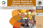 Diciembre México Produce Alimentos Sanos y de Calidad · 2014. 11. 20. · México Produce Alimentos Sanos y de Calidad Reordenamiento de la infraestructura de control de la movilización