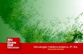 Micología médica básica, 5ª. Ed.novella.mhhe.com/sites/dl/free/000001404x/1069681/...Pitiriasis versicolor e infecciones por Malassezia spp. Micología médica básica, 5ª. Ed.