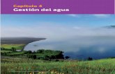 C4 Gestión del agua Atlas del Agua - Chile 2016 Capítulo 4 ... · aquellas que escurren por cauces naturales, artificiales o que están acumuladas en depósitos como lagos, lagunas,