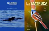 Crónica Por un Mediterráneo limpioahsa.org.es/wp/wp-content/uploads/2018/02/MATRUCA_web-27.pdf · Número 27 • 2017 Varamientos de tortugas y cetáceos Odonatos tercera parte