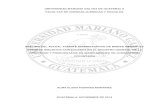UNIVERSIDAD MARIANO GÁLVEZ DE GUATEMALA FACULTAD DE CIENCIAS JURÍDICAS Y SOCIALES · 2013. 12. 3. · universidad mariano gÁlvez de guatemala facultad de ciencias jurÍdicas y