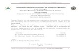 Universidad Nacional Autónoma de Nicaragua FAREM-Carazorepositorio.unan.edu.ni/2243/1/11047.pdf · 2016. 7. 28. · Universidad Nacional Autónoma de Nicaragua FAREM-Carazo Diseño