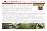 TERMINOS DE REFERENCIA - Selva Mayaselvamaya.info/wp-content/uploads/2017/08/... · Panorámica del Área de Protección de Flora y Fauna de Bala’an K’aax Delegación del Ministerio