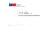Región del Biobío · 2018. 11. 5. · Región del Biobío ECONOMÍA REGIONAL PIB PIB Silvoagropecuario PIB Regional PIB Silvoagropecuario Regional/Nacional Total (%) Regional/Nacional