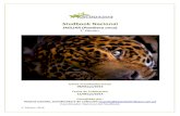 Studbook Nacional - ACOPAZOA - Asociación Colombiana de … · 2017. 5. 3. · húmedos o ribera de los ríos, donde caza capibaras, tortugas, caimanes y peces. Las huellas grandes