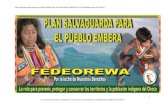 Plan Salvaguarda para el pueblo Emberá de la Federación ... · fundamentales del pueblo embera en el departamento del Chocó. Por lo tanto, el documento está estructurado en dos