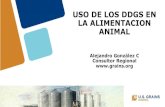 USO DE LOS DDGS EN LA ALIMENTACION ANIMAL³n Animal 2018/Charlas/Ale_Gonz.pdf · Introducción de los DDGS a las dietas de las diferentes especies en los Estados Unidos 2007 - 2011