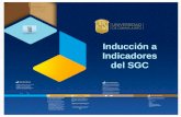 Universidad de Guanajuato · Alta, Baja y Modificación de indicadores del SGC así como la metodología para analizar los indicadores y reportar a la Alta Dirección. Las actividades