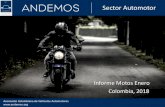 Presentación de PowerPoint · Acumulado Top 20 Marca Asociación Colombiana de Vehículos Automotores Fuente: RUNT, Cálculos ANDEMOS Informe Completo: Motos 0 KM g a 2016 2017 n