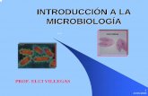INTRODUCCIÓN A LA MICROBIOLOGÍAwebdelprofesor.ula.ve/nucleotrujillo/elciv/clases_microbiologia/clase… · primer tipo de microscopio electrónicodesarrollado este utiliza un haz