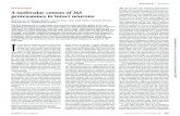 PROTEASOMES A molecular census of 26S proteasomes in intact …science.sciencemag.org/content/sci/347/6220/439.full.pdf · GS1 to GS4 displayed as isosurfaces; their relative abundances