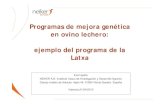 Programas de mejora genética en ovino lechero: ejemplo del ...mastergr.upv.es/Asignaturas/Apuntes/10. Programas/Eva Ugarte.pdf · Programas de mejora genética en ovino lechero: