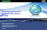 Решения Больших Данных (Big Data) от IBMkancler.by/docs/IBM DAY_Big_Data.pdf · 2019. 6. 3. · Ключевые компоненты платформы IBM: