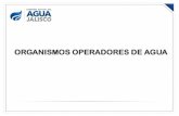 ORGANISMOS OPERADORES DE AGUA - CEA Jalisco · Los derechos laborales del personal que trabaje en el Sistema de Agua, y que pase a formar parte de la plantilla del Organismo, se respetarán