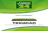 Gazon Synthètique 24 - TRINIDAD...gazonsynthetique24.com Gazon Synthétique Pour les balcons, piscines, solarium, terrasses, jardins, en plein air TRINIDAD TRINIDAD Trinidad est le