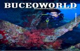 BuceoWorld · 2014. 10. 3. · la profundidades del santuario aumentó sin que ningún ataque de parte de los tiburones venga a entorpeceranadie. Elturismoantesquelapesca Delamismaforma,lademandade