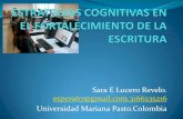 Sara E Lucero Revelo. espera67@gmail.com.3166235216 ...ucvvirtual.edu.pe/contenido_web/Docs_Adic/20130313... · 3/13/2013  · ESTRATEGIA Desempeño de roles Auto reconocimiento y