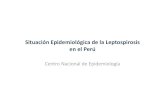 Situación Epidemiológica de la Leptospirosis en el Perú · Situación Epidemiológica de la Leptospirosis en el Perú Centro Nacional de Epidemiología. 500,000 casos de leptospirosisen
