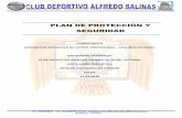 PLAN DE PROTECCIÓN Y SEGURIDAD · 2017. 11. 7. · Apoyo de la Policía Nacional del Perú de la Provincia de Espinar y los efectivos de serenazgo de la Municipalidad Provincial