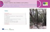 Índexeforown.ctfc.cat/pdf/8a_LA VIDA DELS ARBRES.FUNCIO DE... · 2019. 9. 25. · Funcions vitals dels arbres i les plantes El Regne de les Metàfites, vegetal o de las plantes està