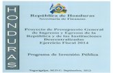Programa de Inversión Pública · La sección III. Contiene los Lineamientos de política de Inversión Pública para el período 2014–2017, que permitirá a las instituciones