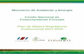 Ministerio de Ambiente y Energía Fondo Nacional de ... · 2 contenido presentaciÓn 3 reseÑa institucional 4 antecedentes 4 misiÓn 4 visiÓn 4 valores institucionales 5 mejora