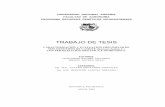 TRABAJO DE TESIS - UNAcenida.una.edu.ni/Tesis/tnf30r243.pdf · • Contribuir al desarrollo del cultivo del camote mediante la caracterización y evaluación preliminar de 6 genotipos