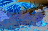 MARIPOSA MONARCA EN M XICO - ecosistemica.mx€¦ · Registros de Mariposa Monarca Esta l nea base de la Monarca en nuestro pa s es el fruto del esfuerzo colaborativo e interinstitucional
