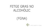 (FGNA) ALCOHÒLIC FETGE GRAS NO · etiologia fgna factors primaris resistÈncia a la insulina (obesitat, dm2, dislipèmia) factors secundaris fÀrmacs cirurgia miscelÀnia
