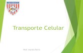 Transporte Celular€¦ · Transporte activo Es un mecanismo celular por medio del cual algunas moléculas atraviesan la membrana celular contra un gradiente de concentración, es