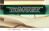 Mayo de 2018 · 2020. 3. 23. · Cédula de Instrumentos Jurídicos aplicables a la práctica de la Telesalud en México 6 3. Instrumentos Jurídicos 3.1 Constitución Política de