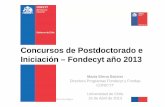 Concursos de Postdoctorado e Iniciación – Fondecyt año 2013€¦ · ejecución en el año 2013. En el año 2012, el 61% de los postulantes provenientes de FONDECYT de Iniciación